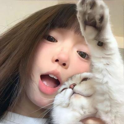 这不应发生在兽医身上