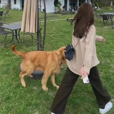美丽波浪